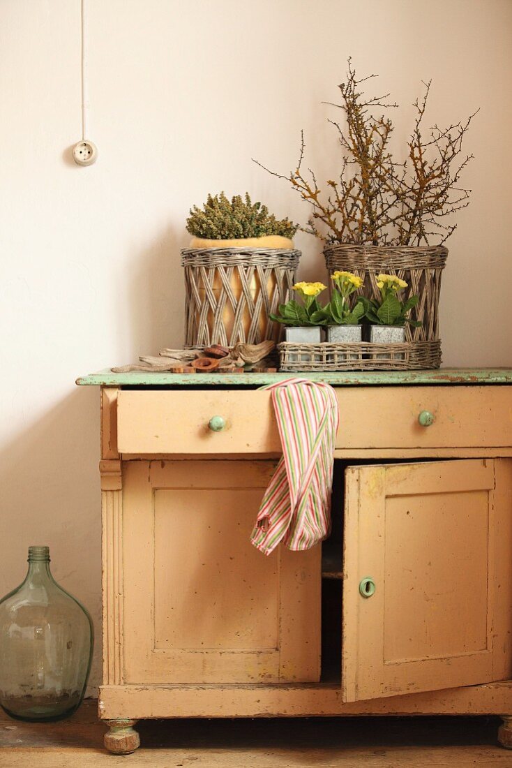 Primulas in small zinc pots on rustic cabinet