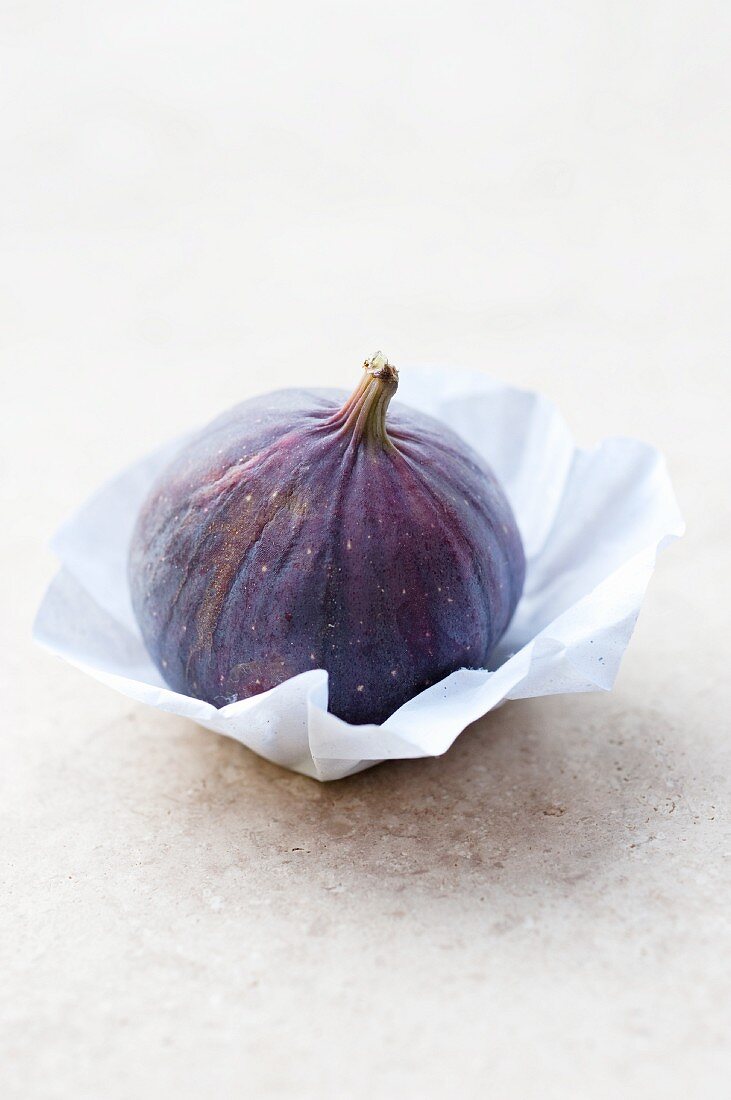 A fig on paper