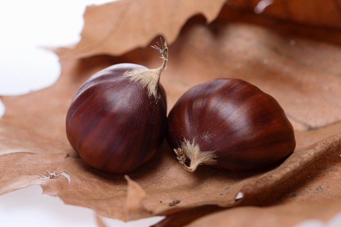 Two chestnuts