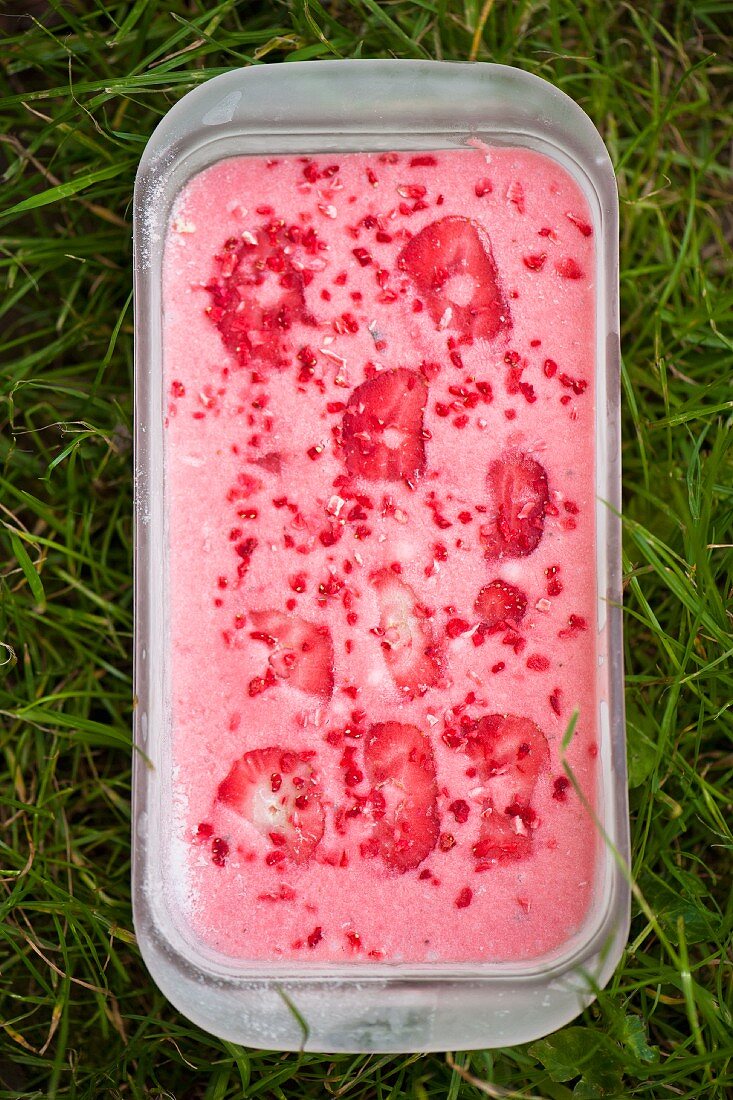 tub of strawberry ice cream on a grass