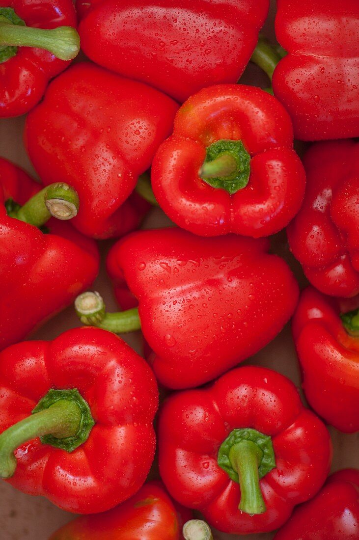 fresh red peppers sprayed with water