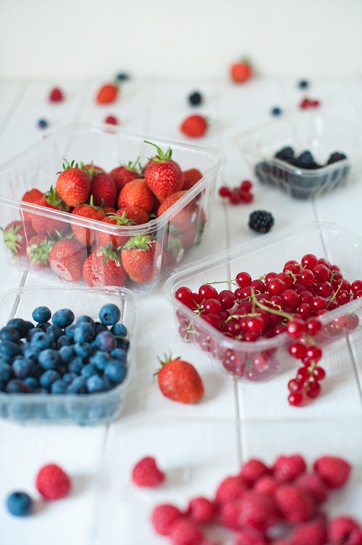 Heidelbeeren, Brombeeren, Himbeeren, Erdbeeren und Johannisbeeren auf weißem Tisch