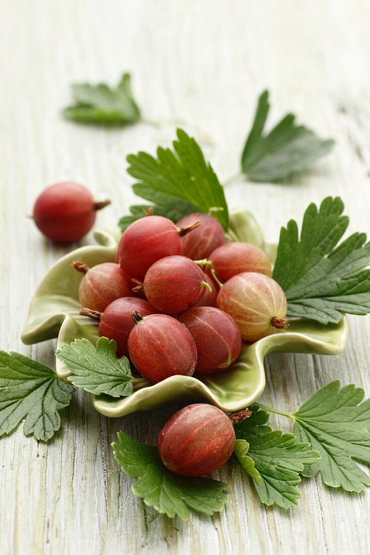 Stachelbeeren mit Blättern und grüner Schale