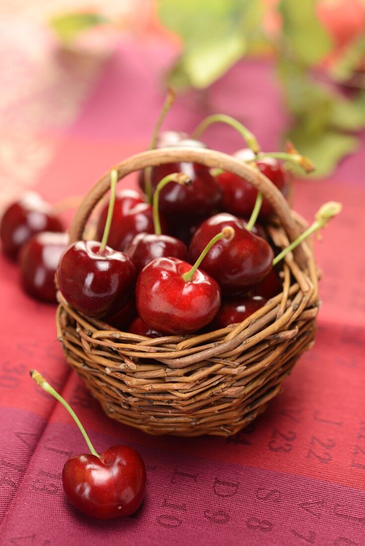 Fresh cherries in a basket
