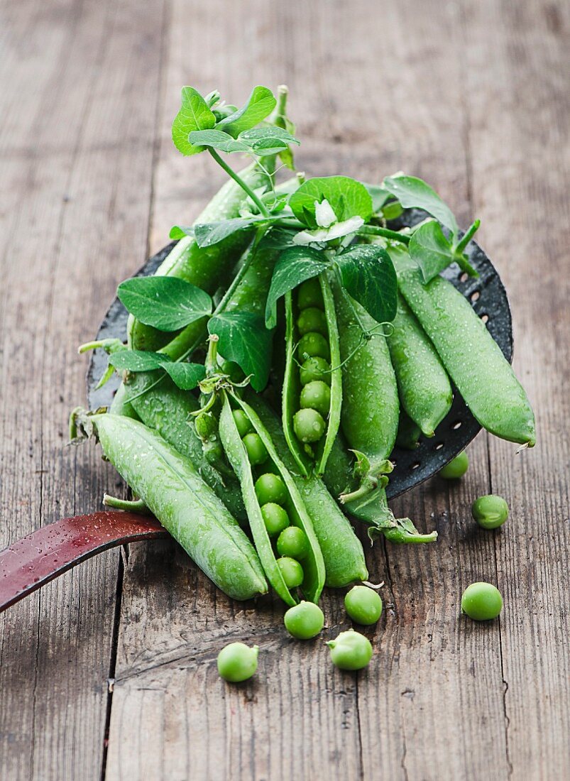 Fresh pea pods on a draining spoon