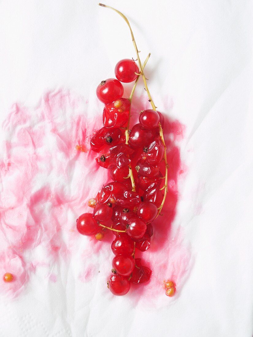 Redcurrants with stem