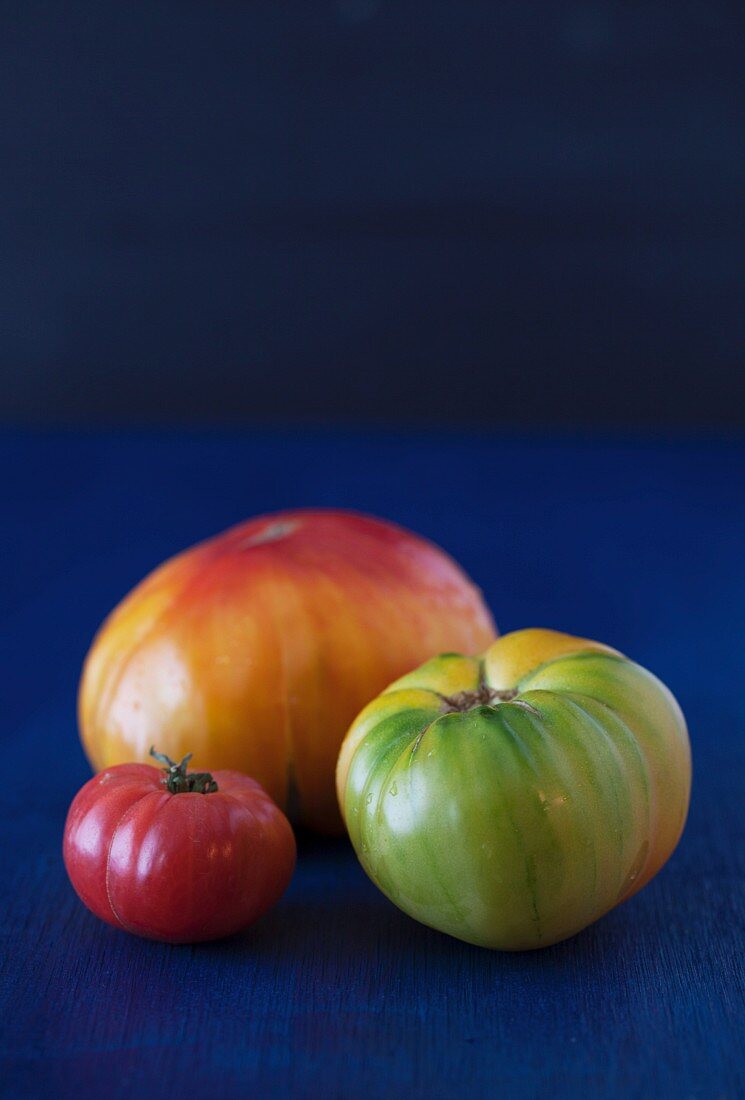 Drei Tomaten auf einem blauen Hintergrund