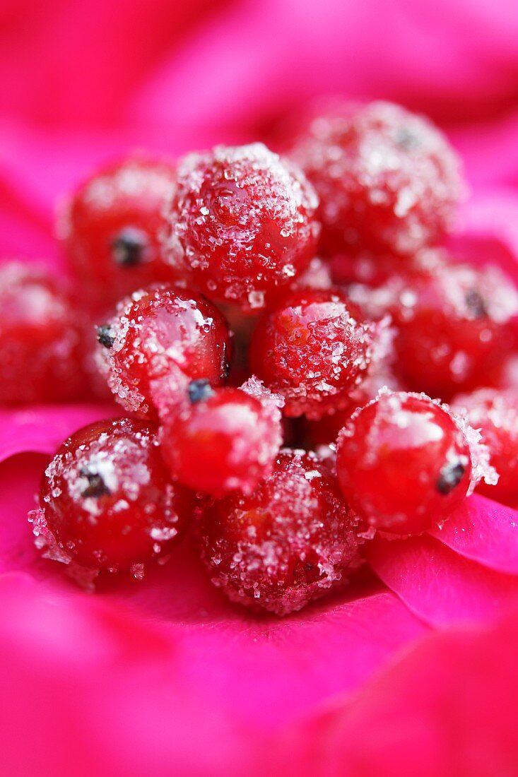 Sugared redcurrants (close-up)