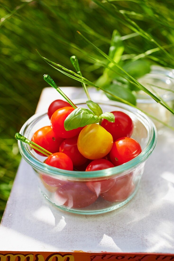 Cherry tomatoes on skewers at a picnic