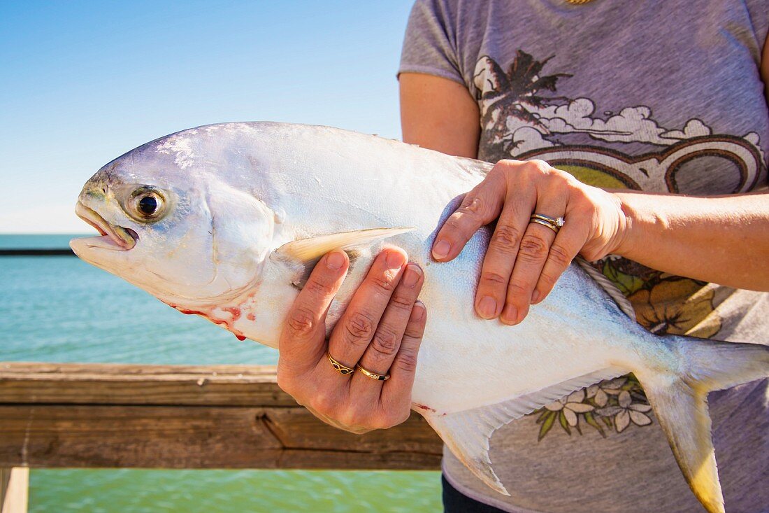 Frau hält frisch gefangenen Pompano-Fisch (Texas, USA)