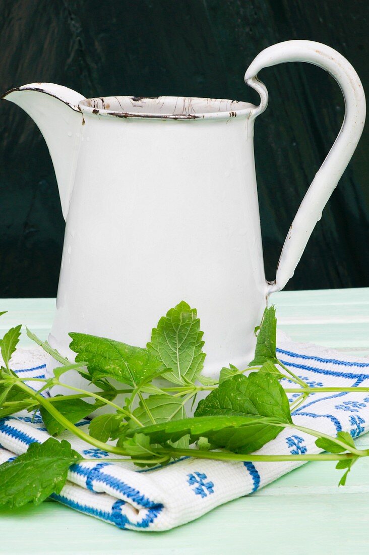 A still life featuring an enamel jug, lemon balm and an embroidered cloth
