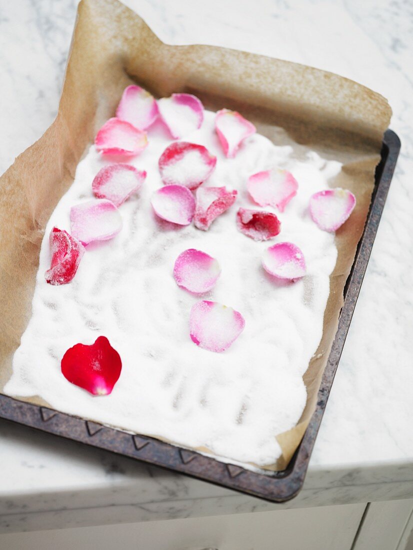 Crystallised rose petals on a baking tray