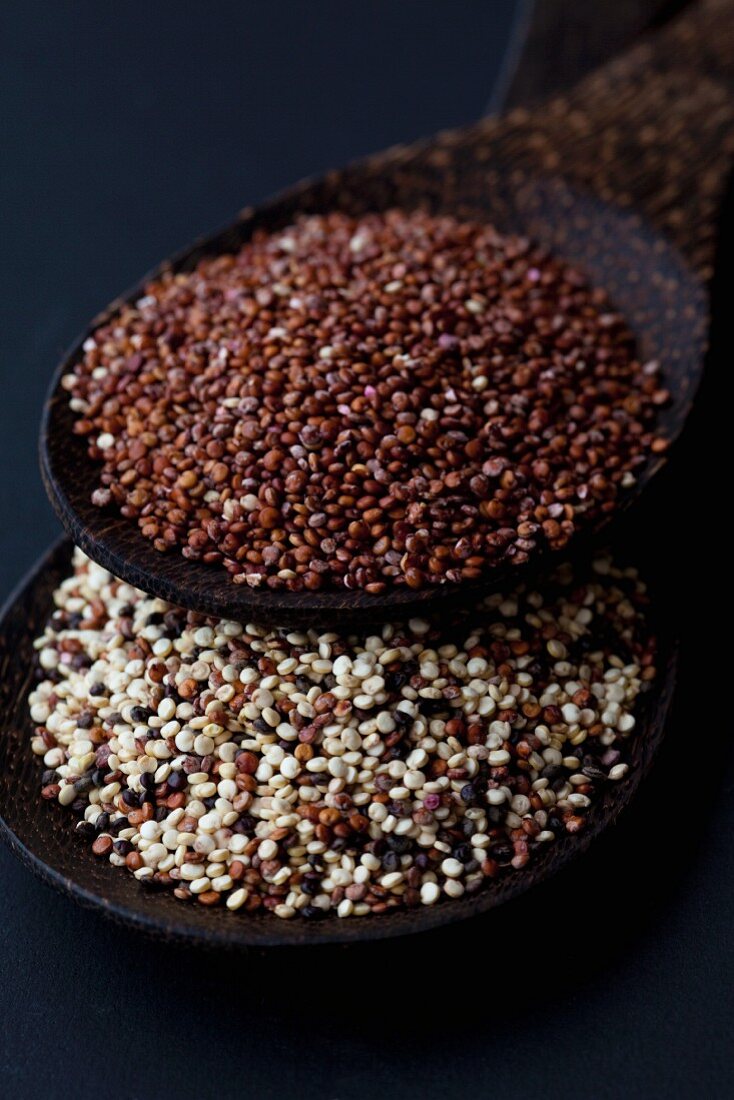 Zwei verschiedene Sorten Quinoa auf Holzlöffeln