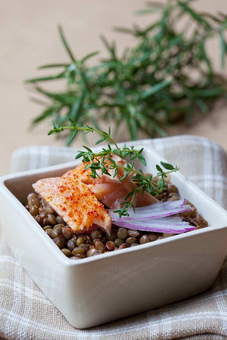 Salmon with chilli, thyme and rosemary on brown lentils