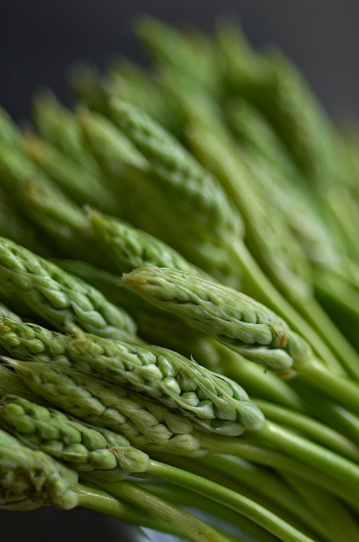 Green wild asparagus (close-up)