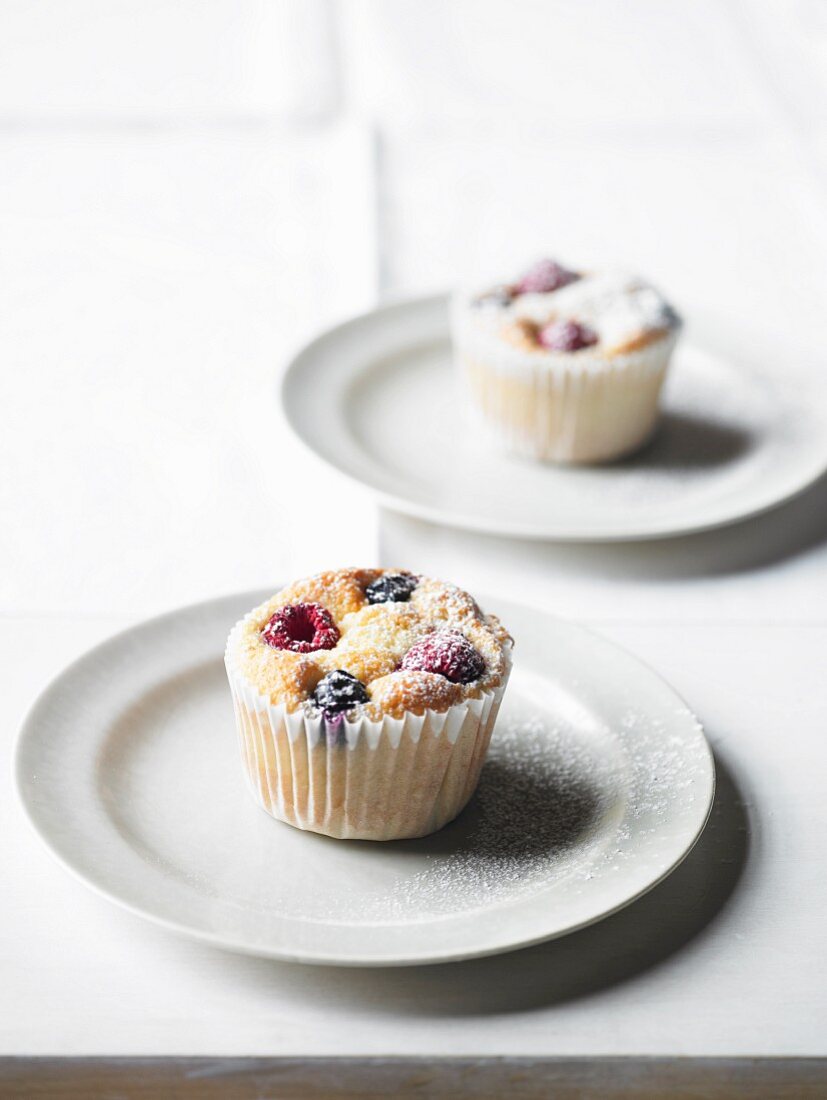 Heidelbeer-Himbeer-Muffins mit Puderzucker