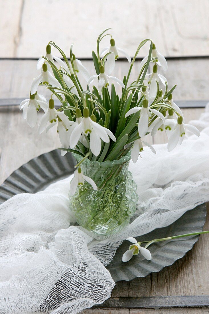 Snowdrops in nostalgic crystal vase