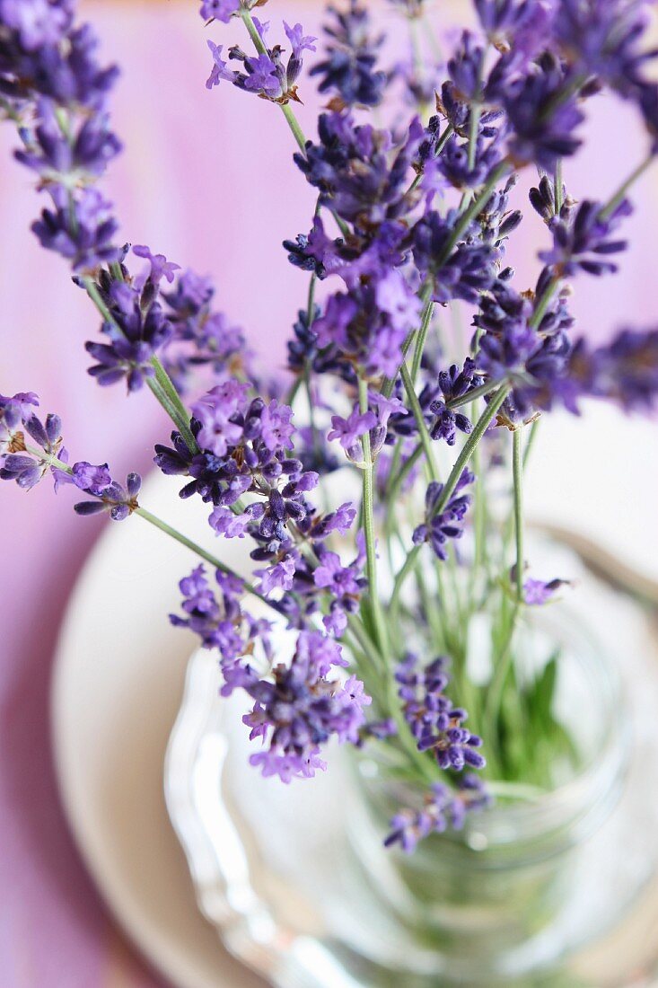 Lavender flowers in a glass of water as a table decoration