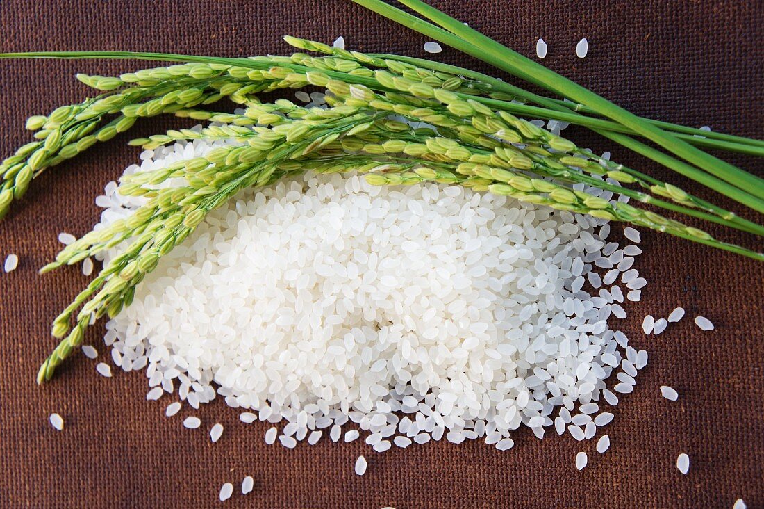 Ears of rice on a mound of rice