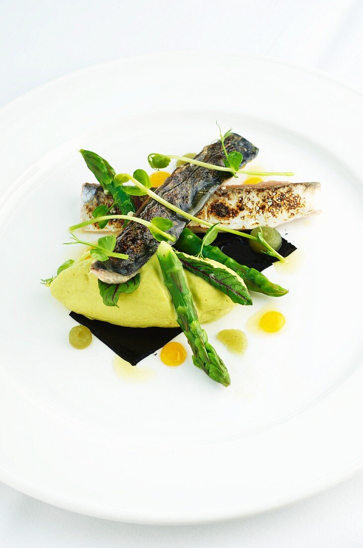 Grilled mackerel with green asparagus and pea purée