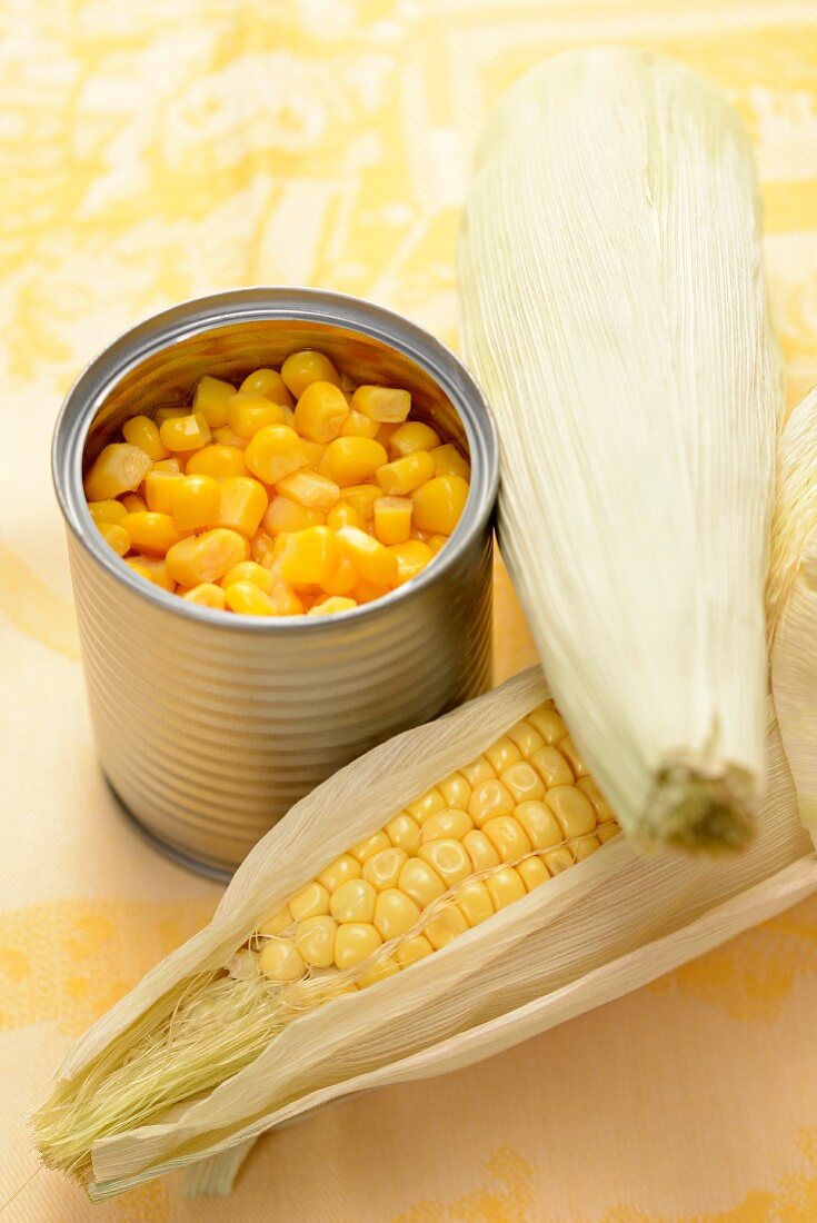 A cob of corn and tinned sweetcorn
