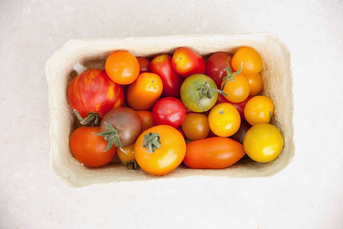 Verschiedenfarbige Tomaten im Pappschälchen