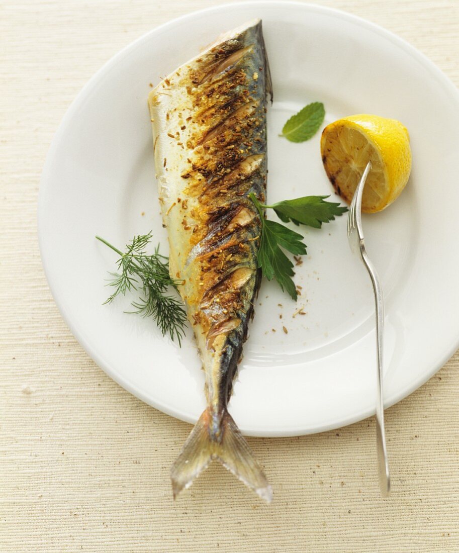 Grilled mackerel (view from above)