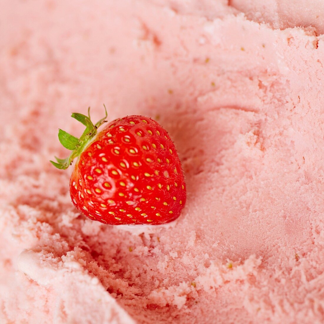 A fresh strawberry on fresh strawberry ice cream ready to be scooped