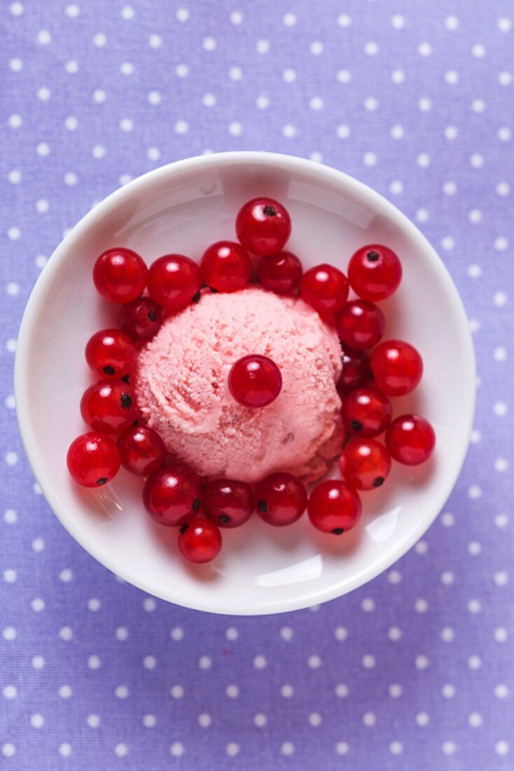 A fresh scoop of redcurrant ice cream, viewed from above, with redcurrants