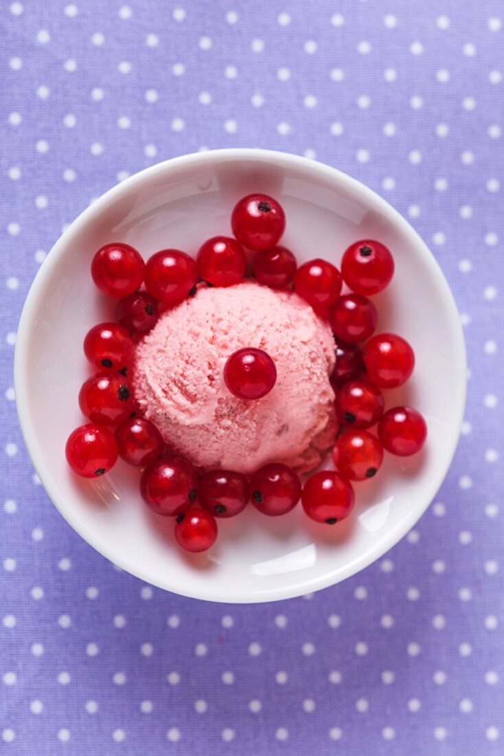 Eine frische Kugel Johannisbeereis von oben mit roten Johannisbeeren