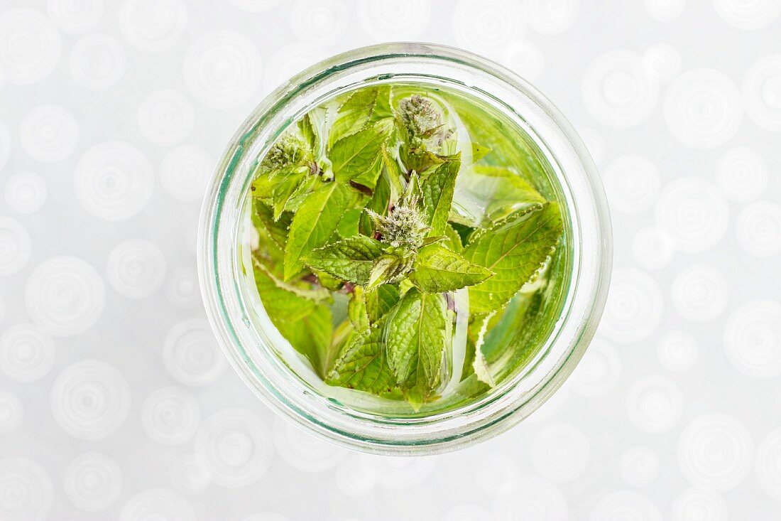 Fresh mint in a preserving jar with water (view from above)