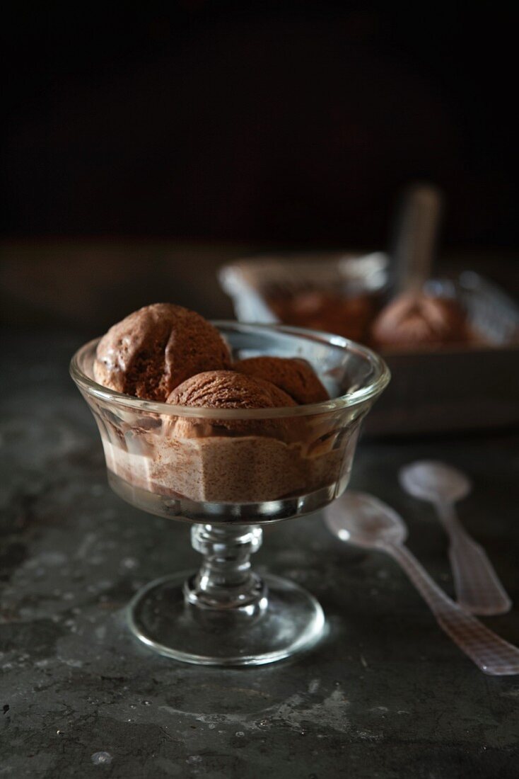 Homemade chocolate ice cream in an ice cream dish