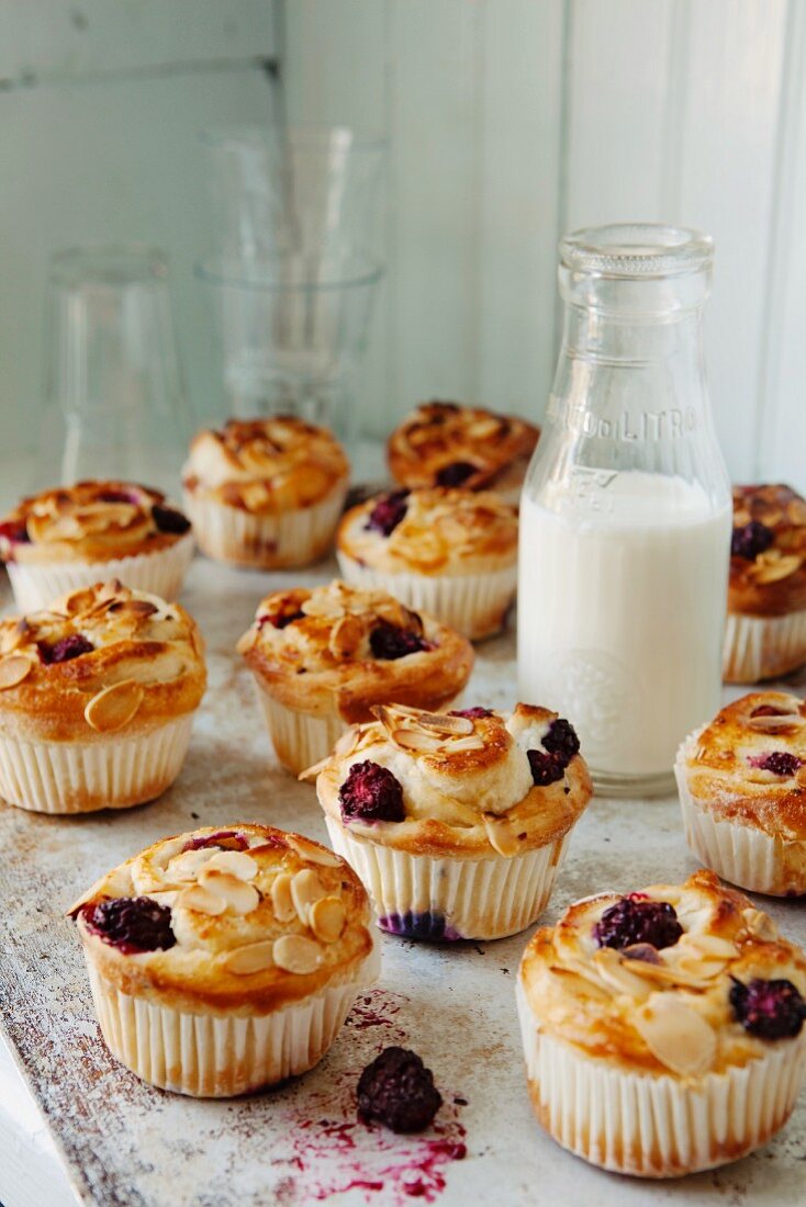 Blackberry muffins with slivered almonds around a bottle of milk