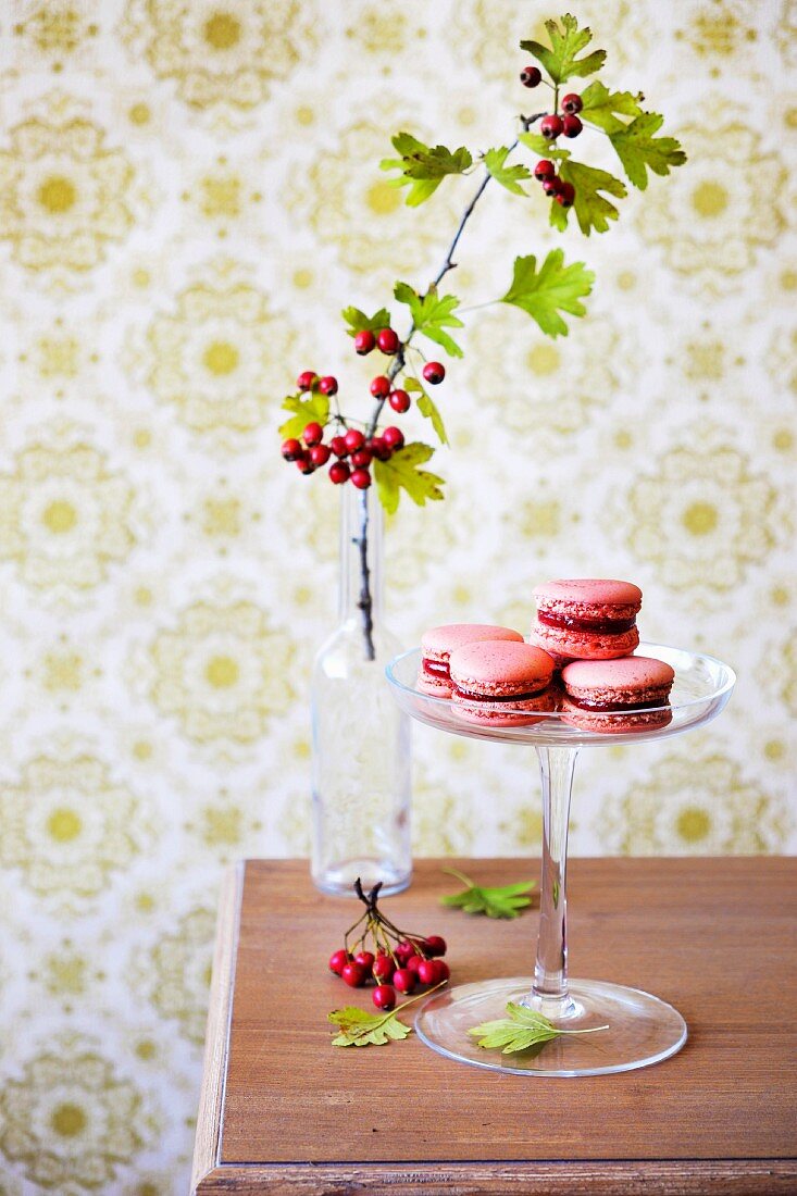 Rosa Macarons mit Hagebuttenfüllung auf Glasständer