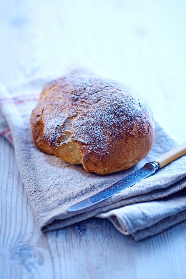 A brioche dusted with icing sugar