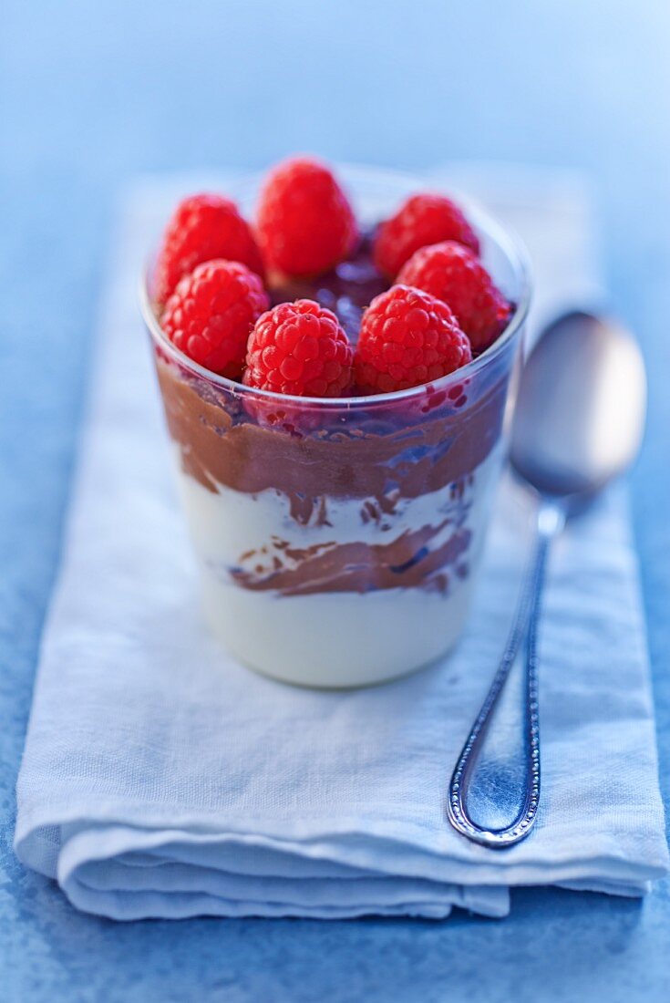 Chocolate and cream dessert with raspberries