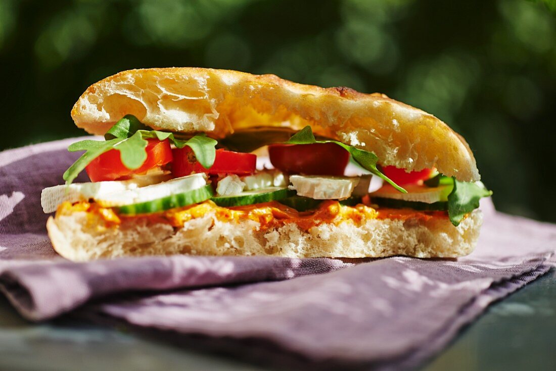 Feta-Tomaten-Gurken-Sandwich