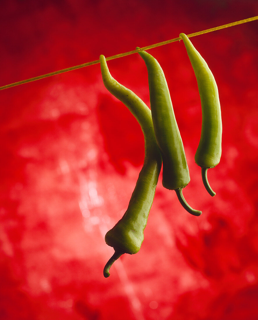 Three green chilli peppers hanging from a line against a red background