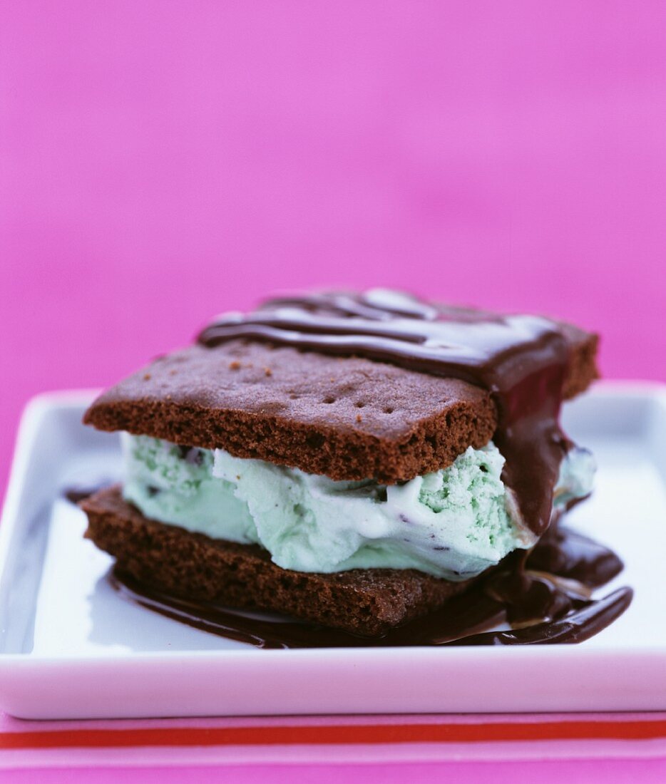 Ice cream sandwich (chocolate biscuits with mint ice cream)