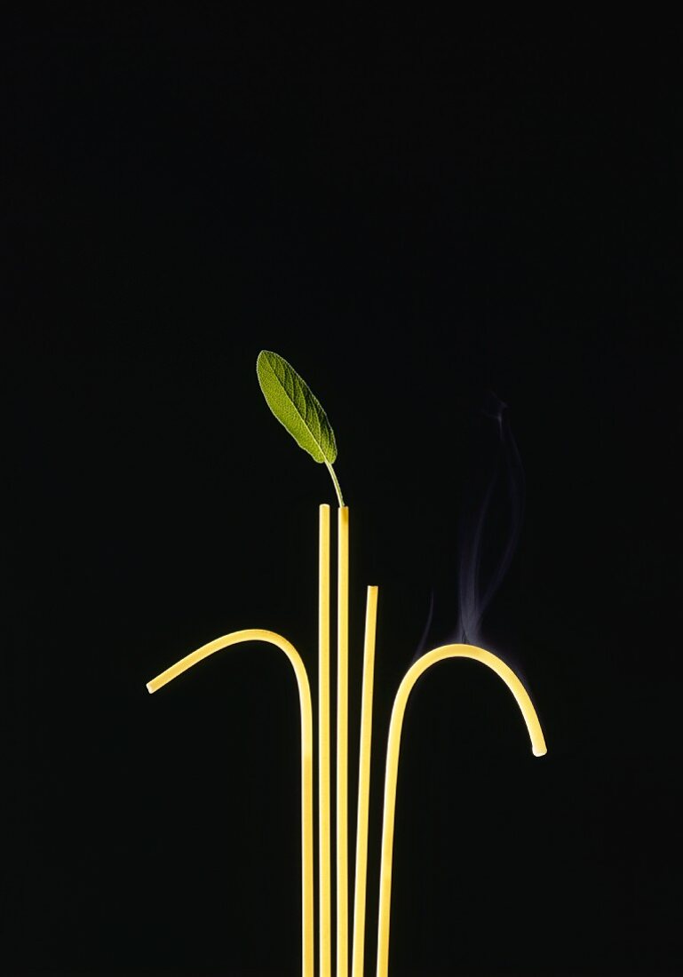 Five steaming strands of spaghetti and a sage leaf against a black background