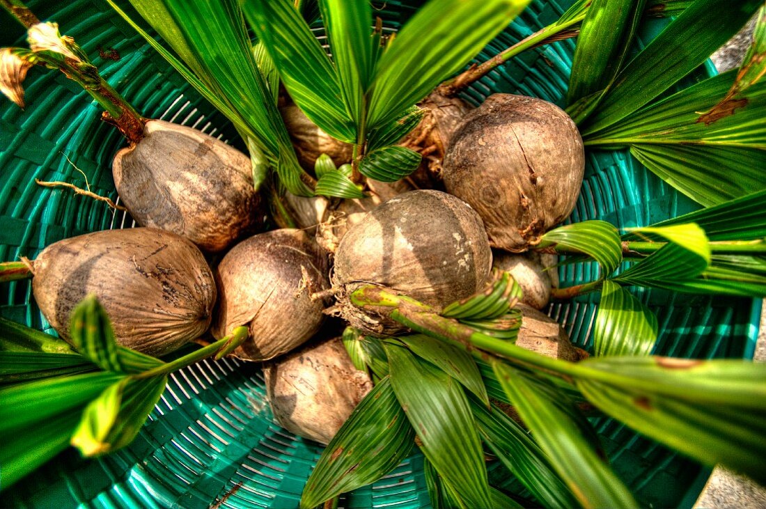 Coconuts in a basket (view from above)