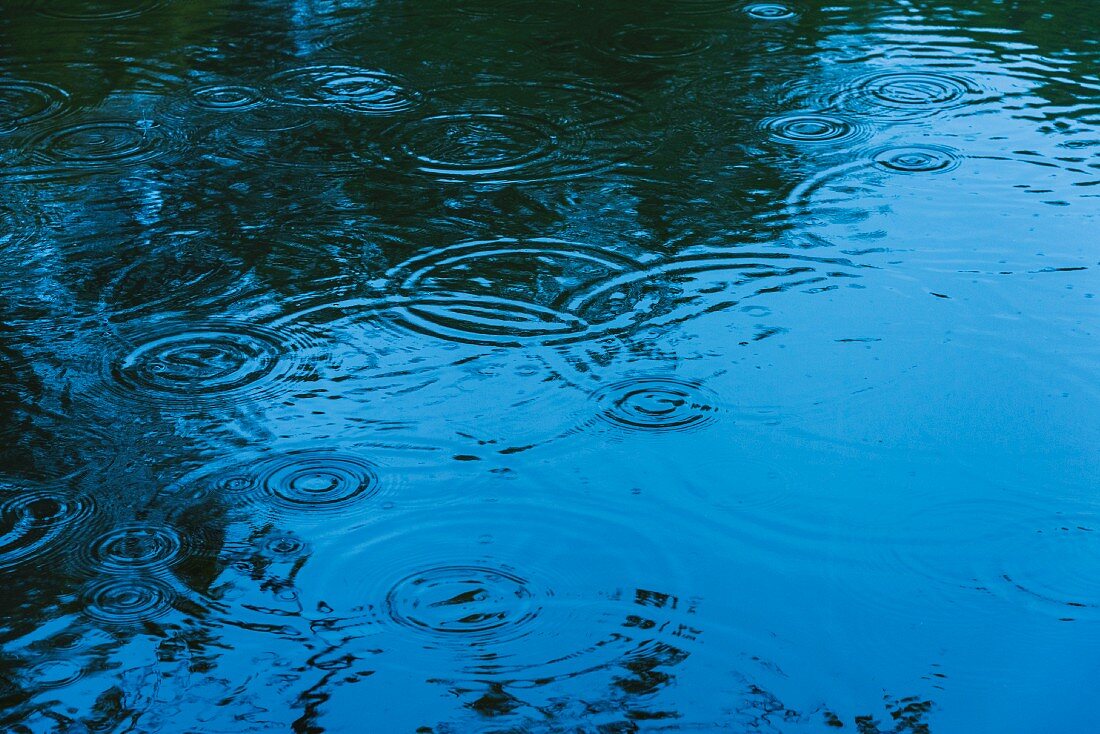 Raindrops falling on surface of water