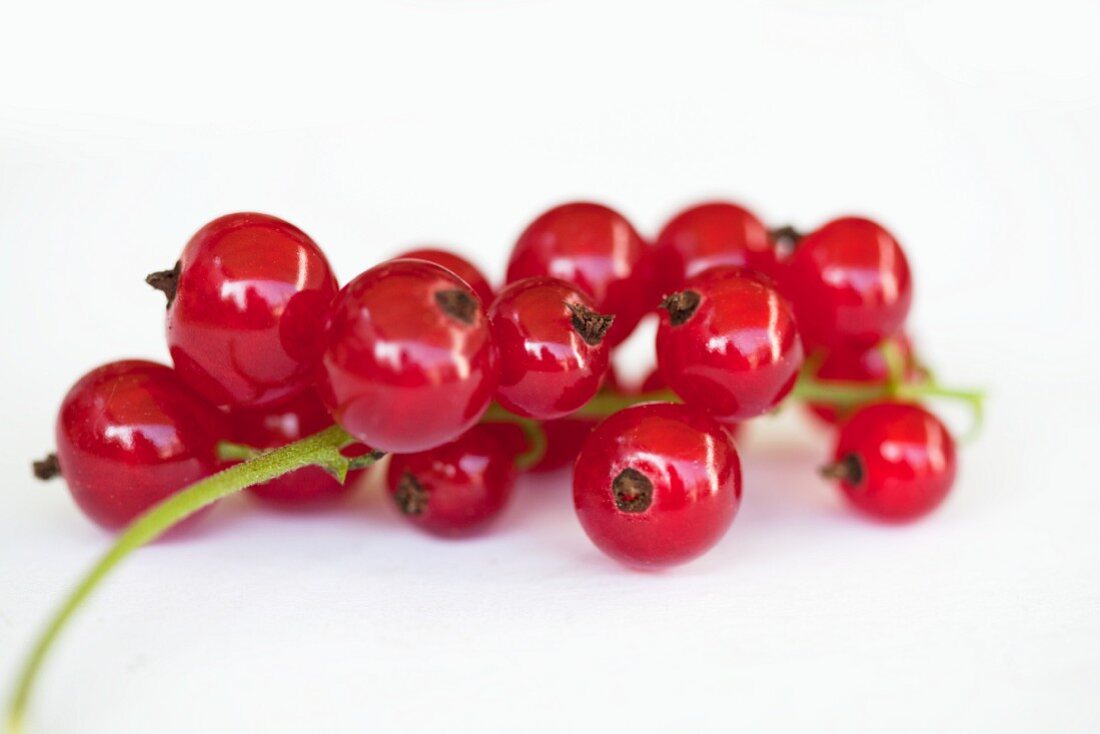 Rote Johannisbeeren