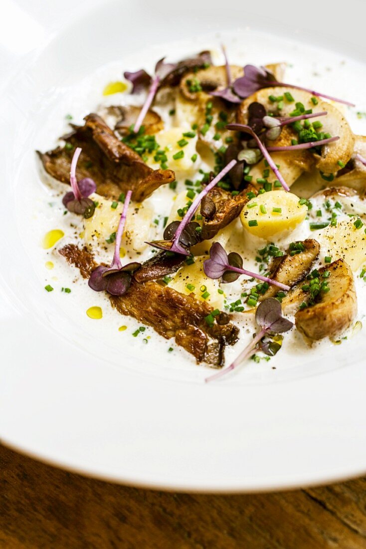 Gnocchi mit Pilzen und Schnittlauch