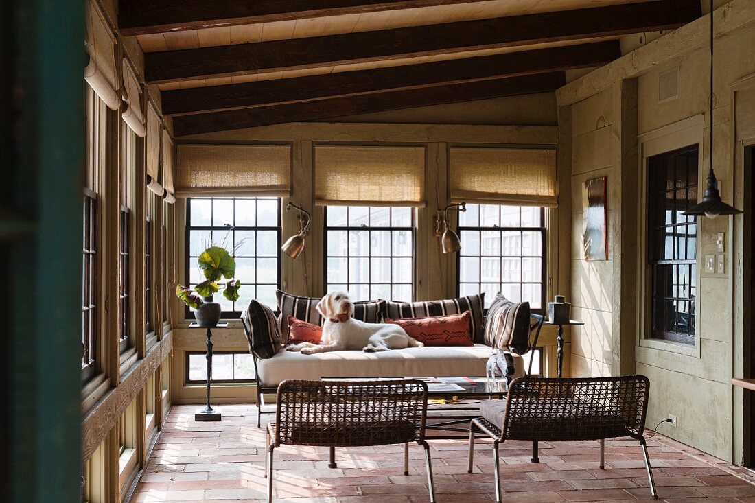 Dog lying on sofa in country-house-style lounge area with lattice windows