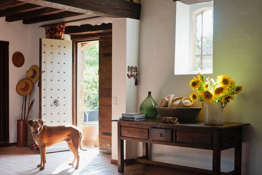 Hund im Eingangsbereich eines Landhauses, Sonnenblumen in Vase auf rustikalen Holz Wandtisch