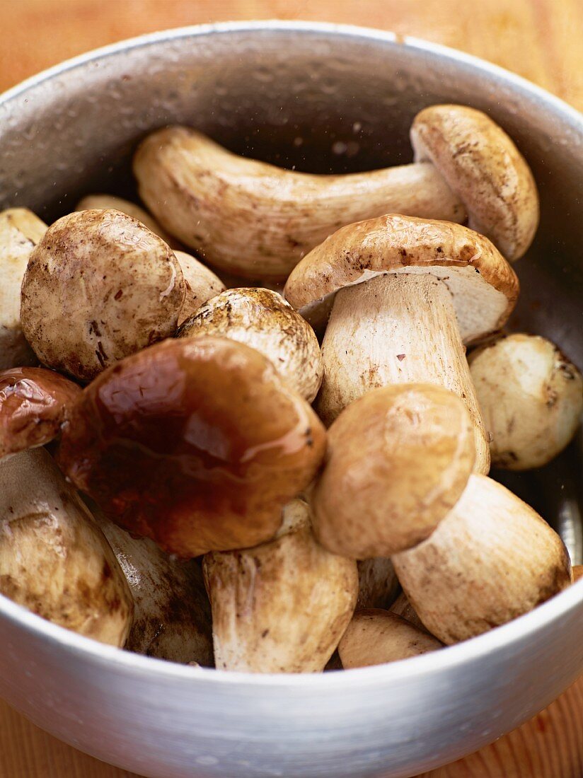 Freshly washed porcini mushrooms in a saucepan