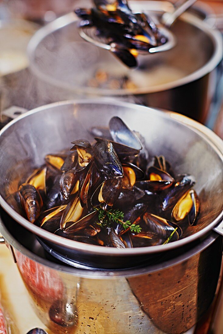Steamed mussels with thyme