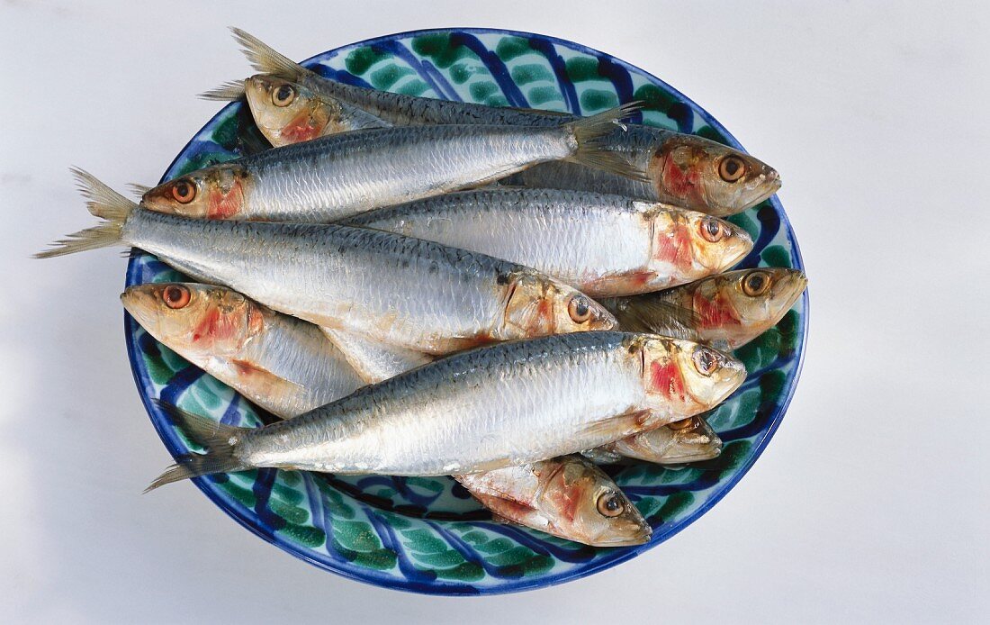 Several fresh sardines on a blue and green plate