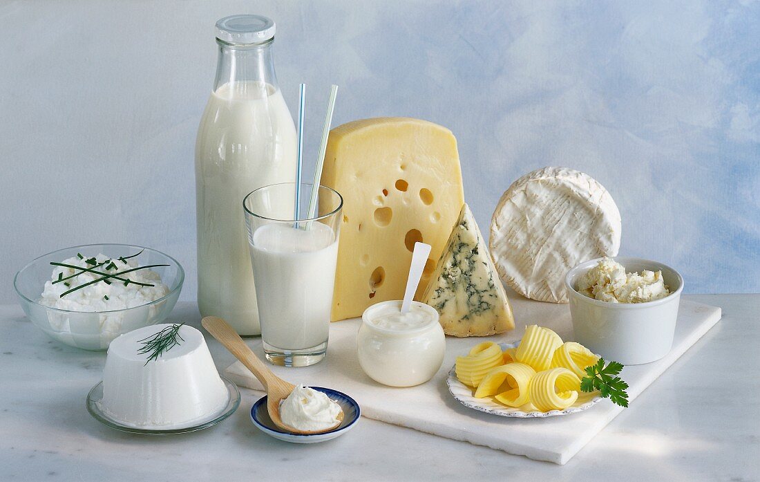 Verschiedene Milchprodukte, Butter und Käse